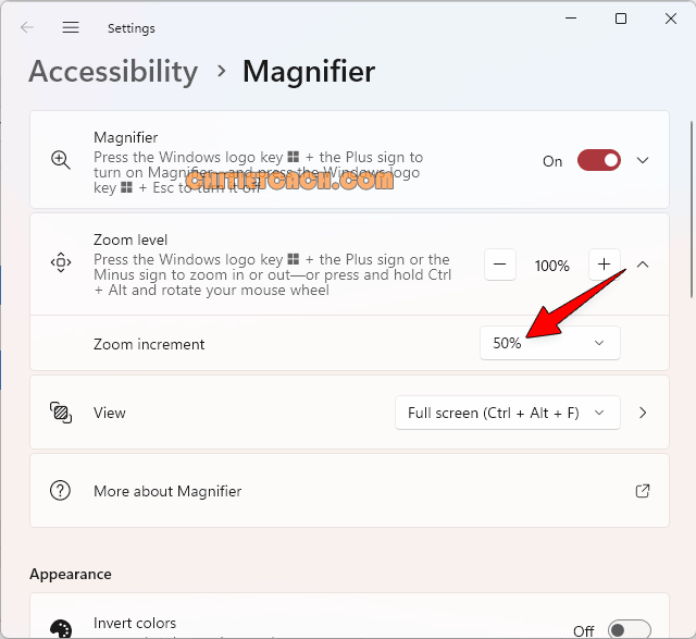 Accessibility Magnifier Windows 11
